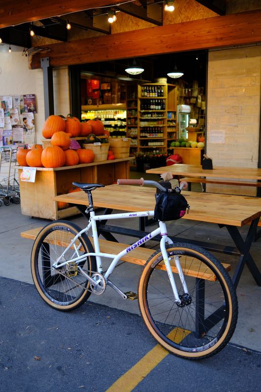 1990 Nishiki Ariel Mone Coaster wheelz | Rad Bazaar