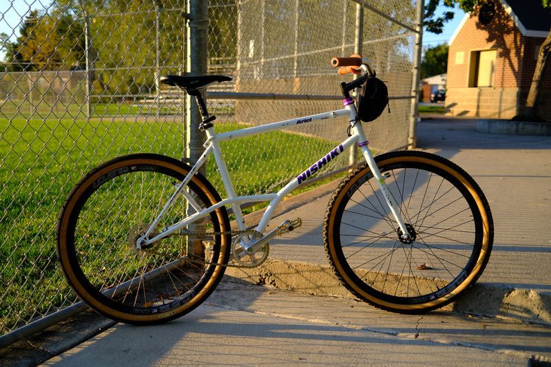 1990 Nishiki Ariel Mone Coaster wheelz | Rad Bazaar