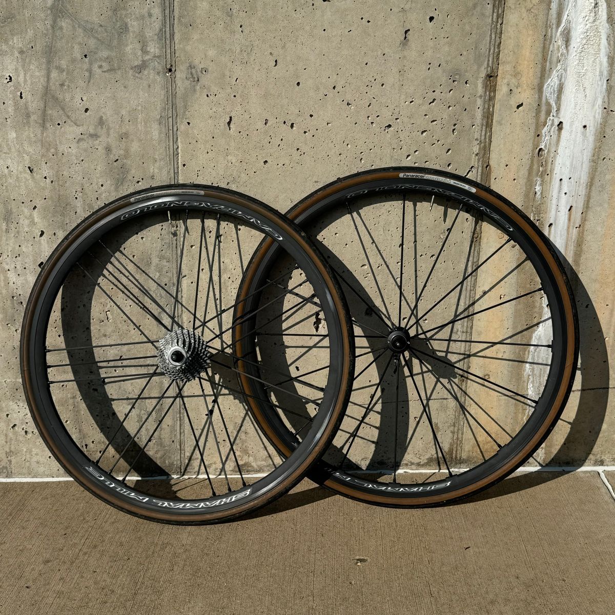 Campagnolo Shamal Mille C17 Clincher Wheelset Ceramic Coated W/ Extras! |  Rad Bazaar